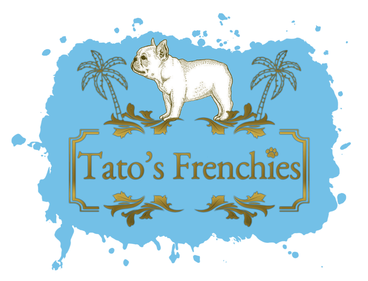 Tato's Frenchies | South Florida's Best French Bulldogs logo